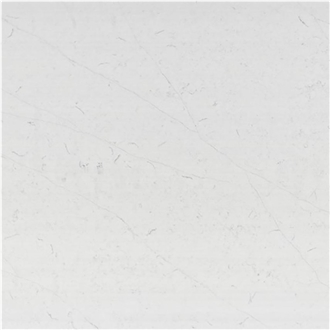 1324 Calacatta Texture Quartz Slabs