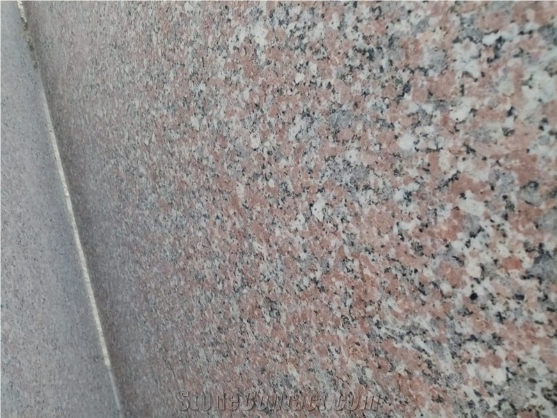 Rosa El Nasr Granite Slabs
