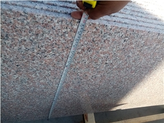 Rosa El Nasr Granite Slabs