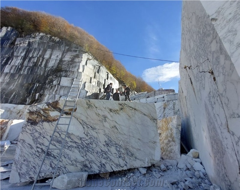 Calacatta Viola Marble Blocks