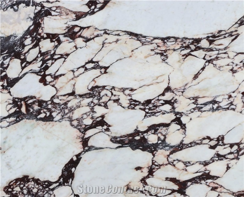 Calacatta Viola Marble Quarry