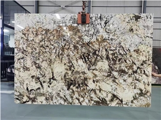 Luxury Stone Patagonia Granite Slab For Wall Tiles