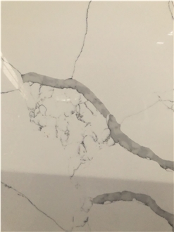 Calacatta NS9040 Quartz Slabs