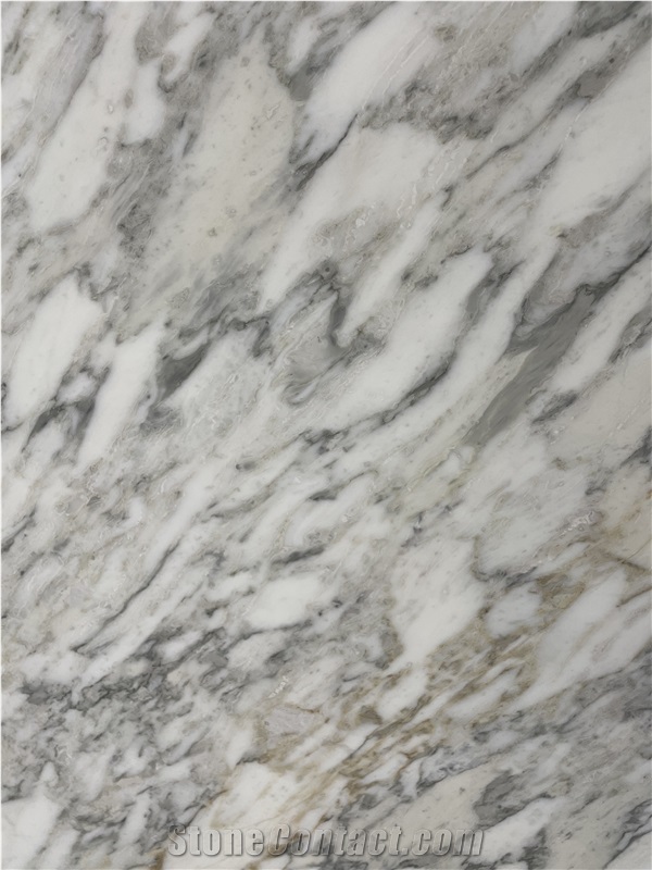 Geo Calacatta Vagli Marble Slabs