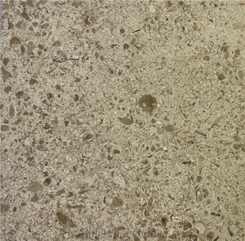 Filstone Beije MG  Limestone Slabs