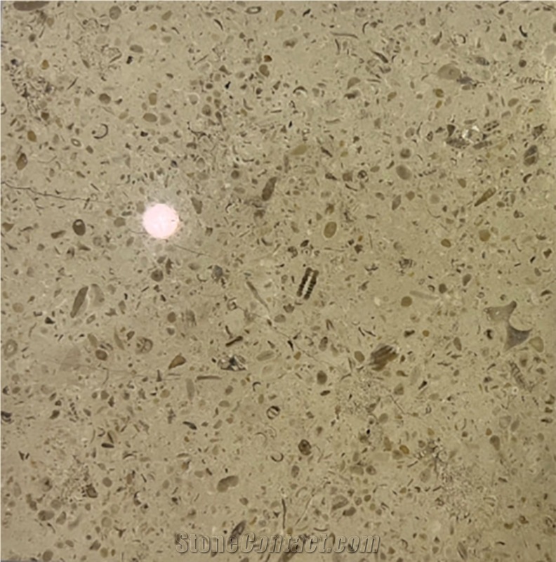 Filstone Beije ML Limestone Slabs