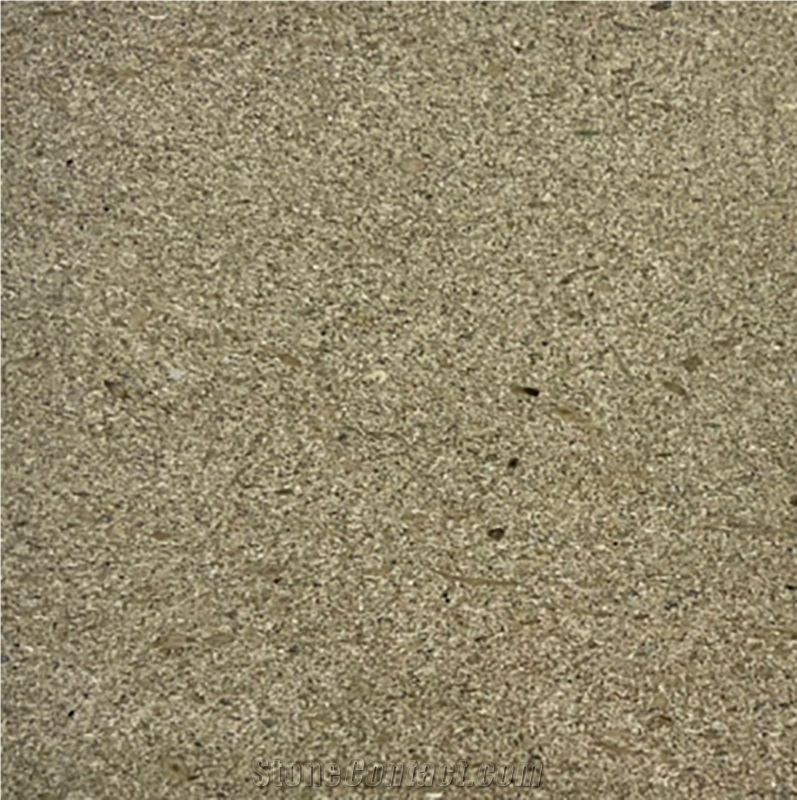 Silver Moca  Sandstone Slabs