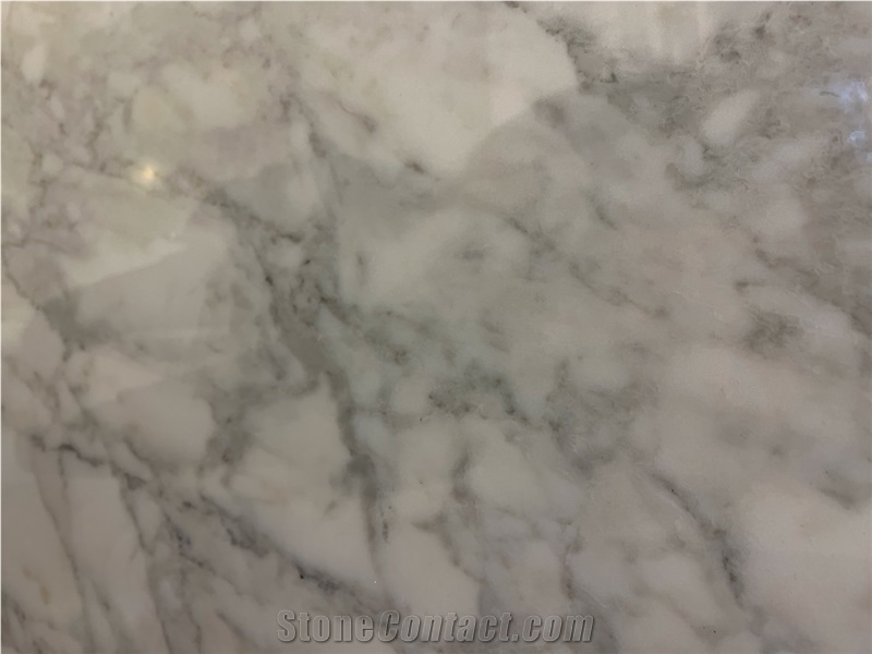 Calacatta Belgia Marble Slab