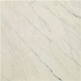 Statuario Michelangelo Marble Tile