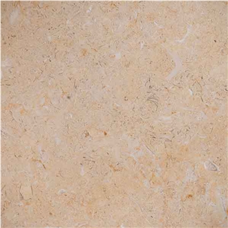 Catreena Marble Wall Tiles Catreena Marble Wall Tiles
