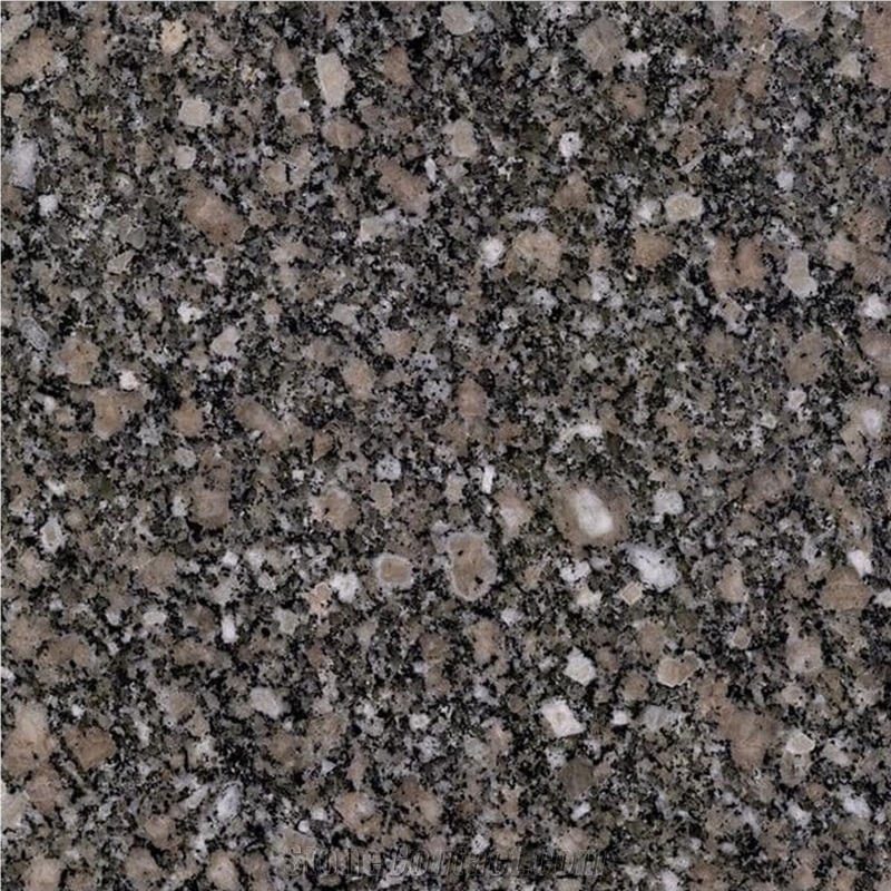 Gandola Granite Slabs