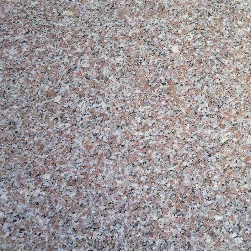 Rosa El Nasr Granite Slabs