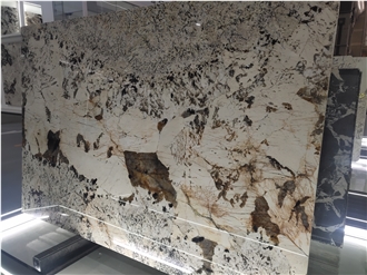 Natural Patagonia Quartzite Slabs For Wall And Flooring