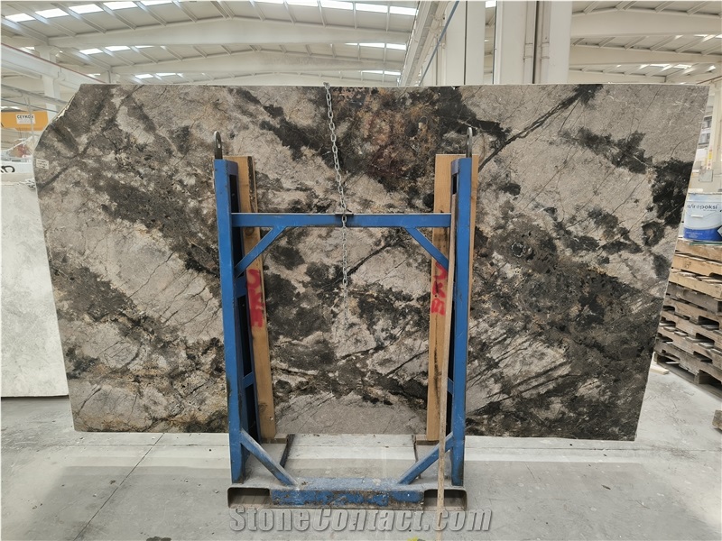 Venus Grey Marble Slabs (1639)