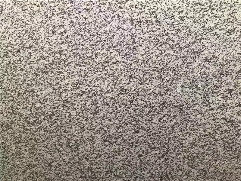 Jilin White Grey Granite  Slabs