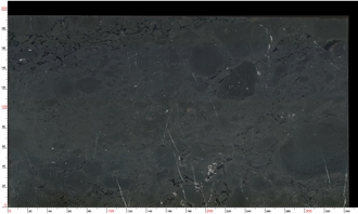 Negresco Black Quartzite Slabs