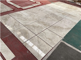 Taj Mahal Quartzite Project Flooring Tiles