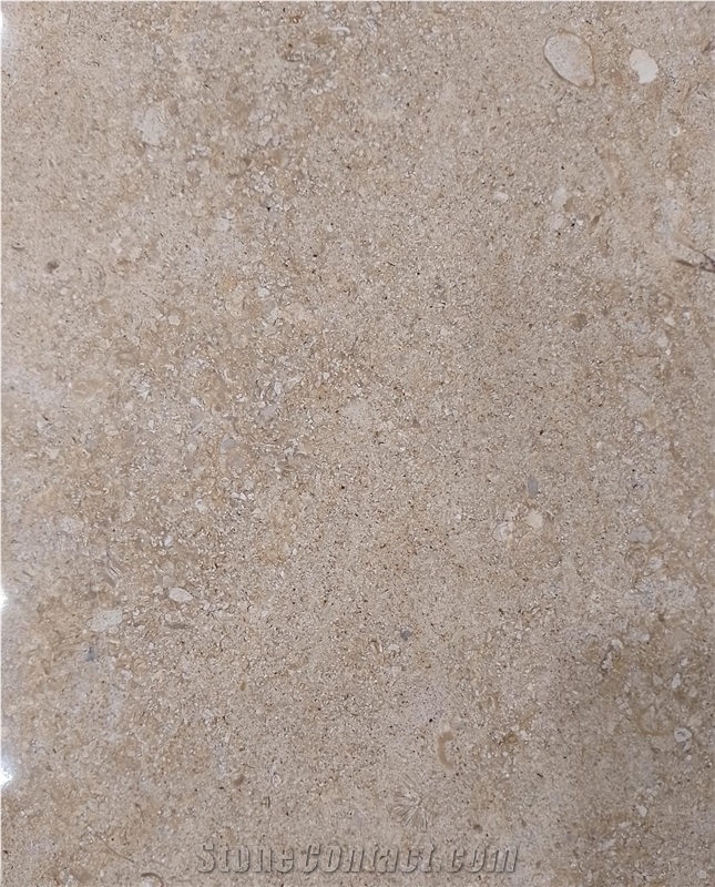 Serpengide Marble Slabs Tiles