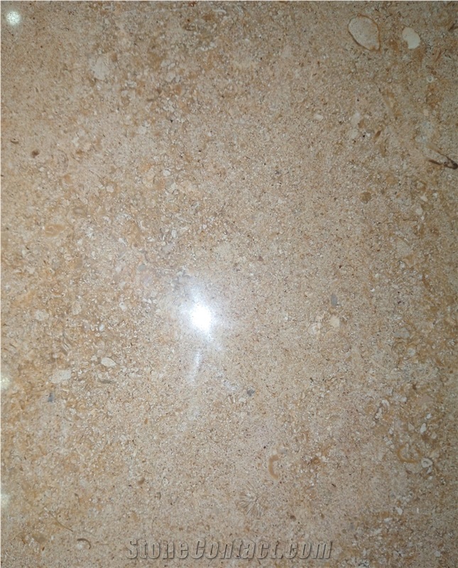 Serpengide Marble Slabs Tiles