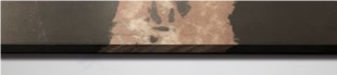 Black Gold Sintered Stone Slabs