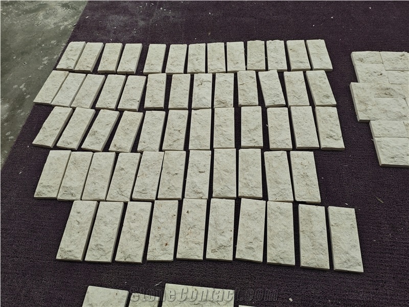 White Coral Stone For Wall Tiles