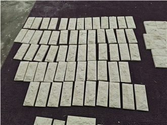 White Coral Stone For Wall Tiles