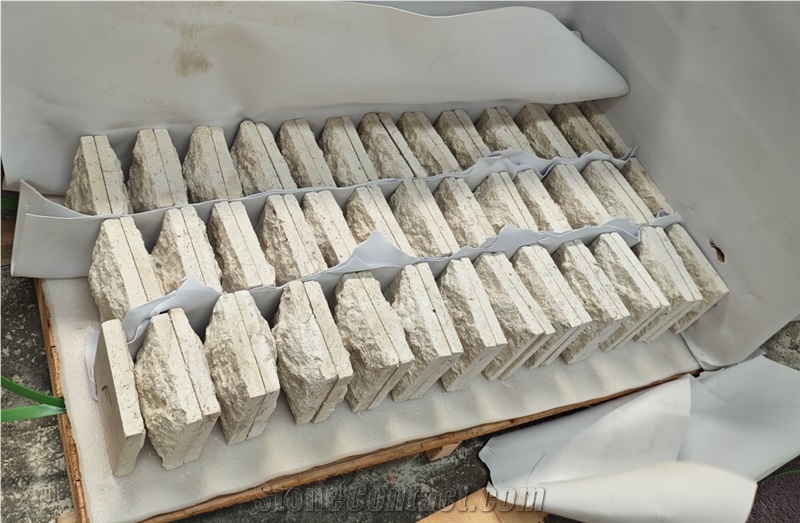 White Coral Stone For Wall Tiles