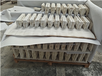 White Coral Stone For Wall Tiles