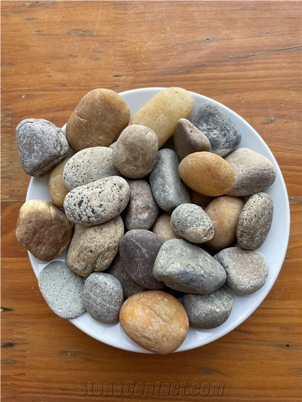 Deep Forest Natural Pebbles