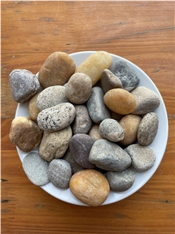 Deep Forest Natural Pebbles