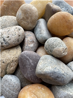 Deep Forest Natural Pebbles