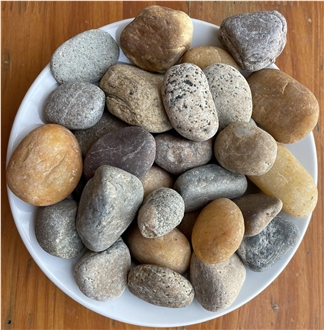 Deep Forest Natural Pebbles