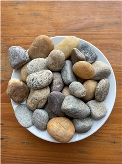 Deep Forest Natural Pebbles