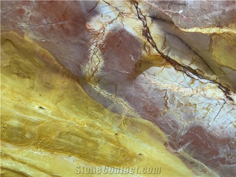 Azul Palomino Quartzite Slabs