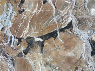 Golden Tree Quartzite Slabs