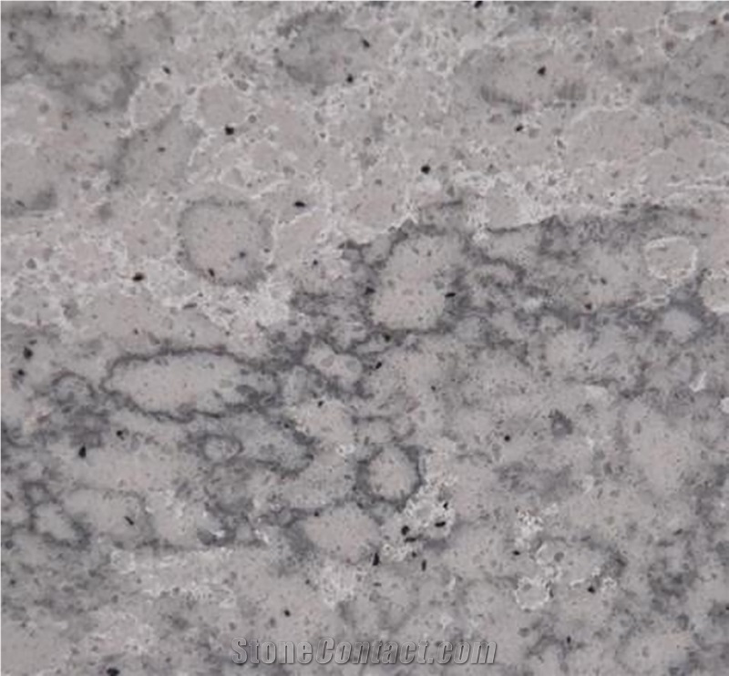 Bacterial Colony Texture Resistant Calacatta Quartz Slabs