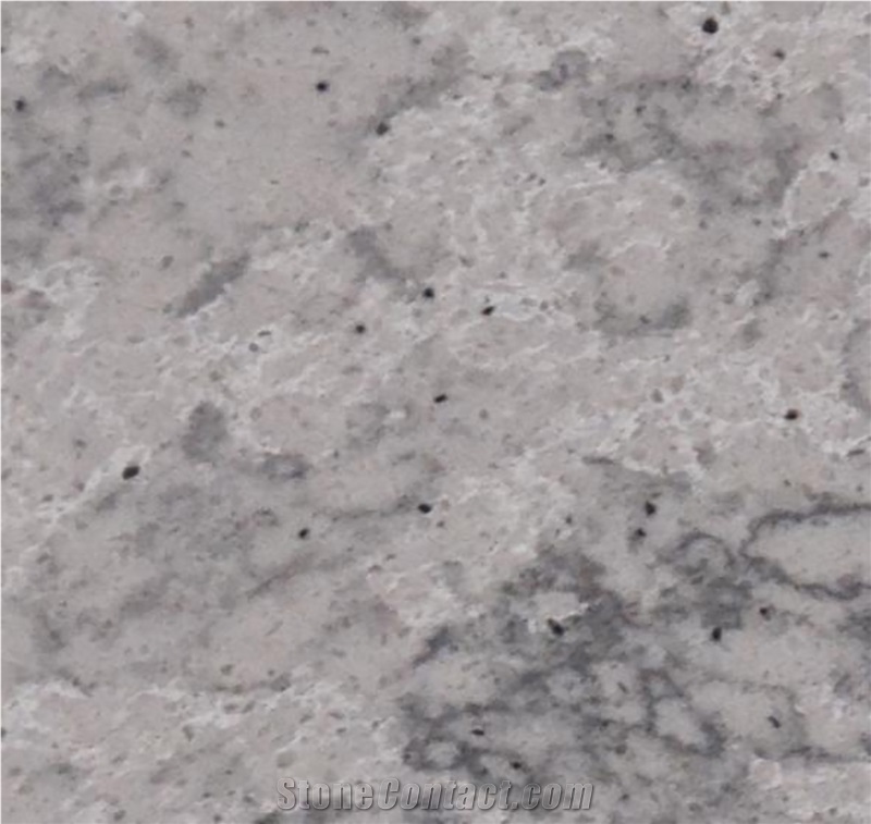 Bacterial Colony Texture Resistant Calacatta Quartz Slabs