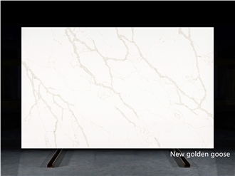 Avenzia Quartz Slabs