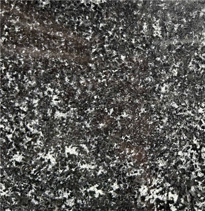 Tiger Black Granite Tiles
