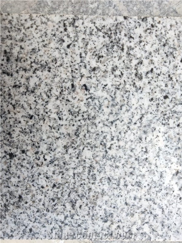 White Safaga Granite Slabs