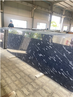 Fish Black Exotic Granite Slabs