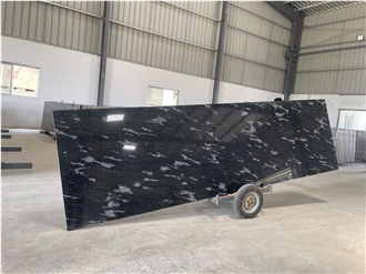 Fish Black Exotic Granite Slabs