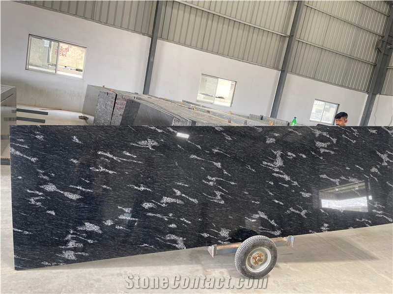 Fish Black Exotic Granite Slabs