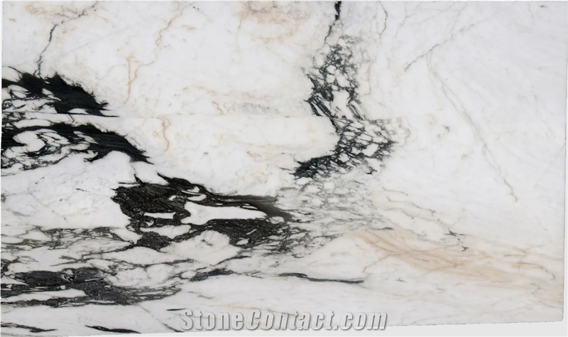 Lasa Venato Arabescato Marble 2Cm Polished And Honed Slabs