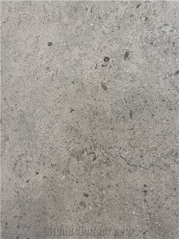 Moleanos Gascogne Blue Limestone Slabs- Fine Grain