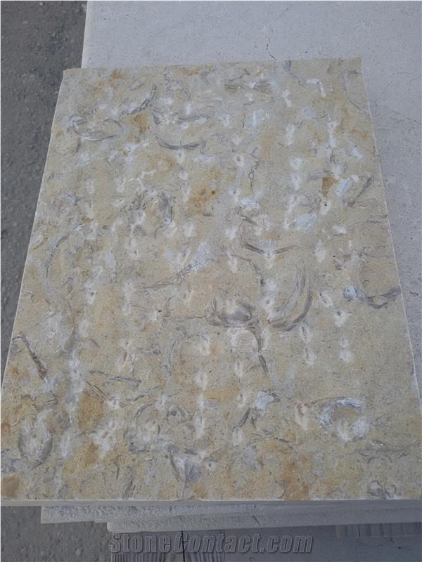 Jerusalem Gold Shell Fossil Tarkomia Limestone Wall Tiles