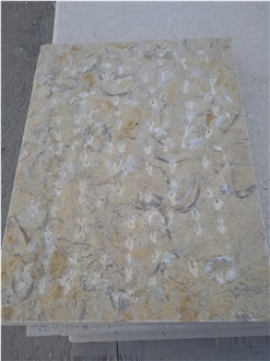 Jerusalem Gold Shell Fossil Tarkomia Limestone Wall Tiles