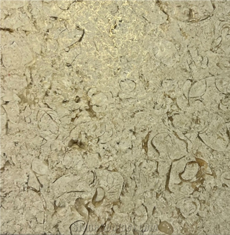Archaean Century  Limestone Slabs