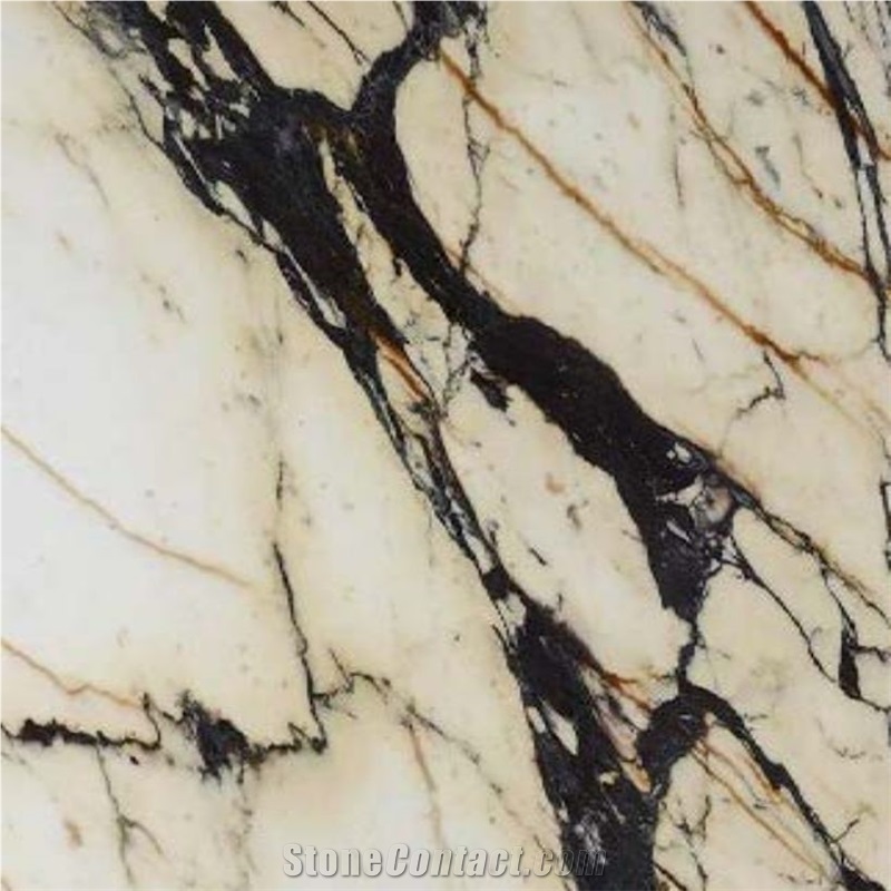 Paonazzo Marble Slabs