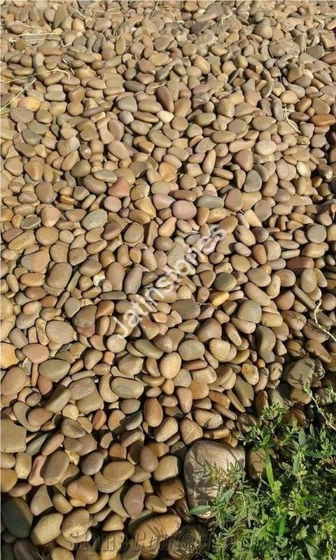 Indian Mixed River  Pebble Stone